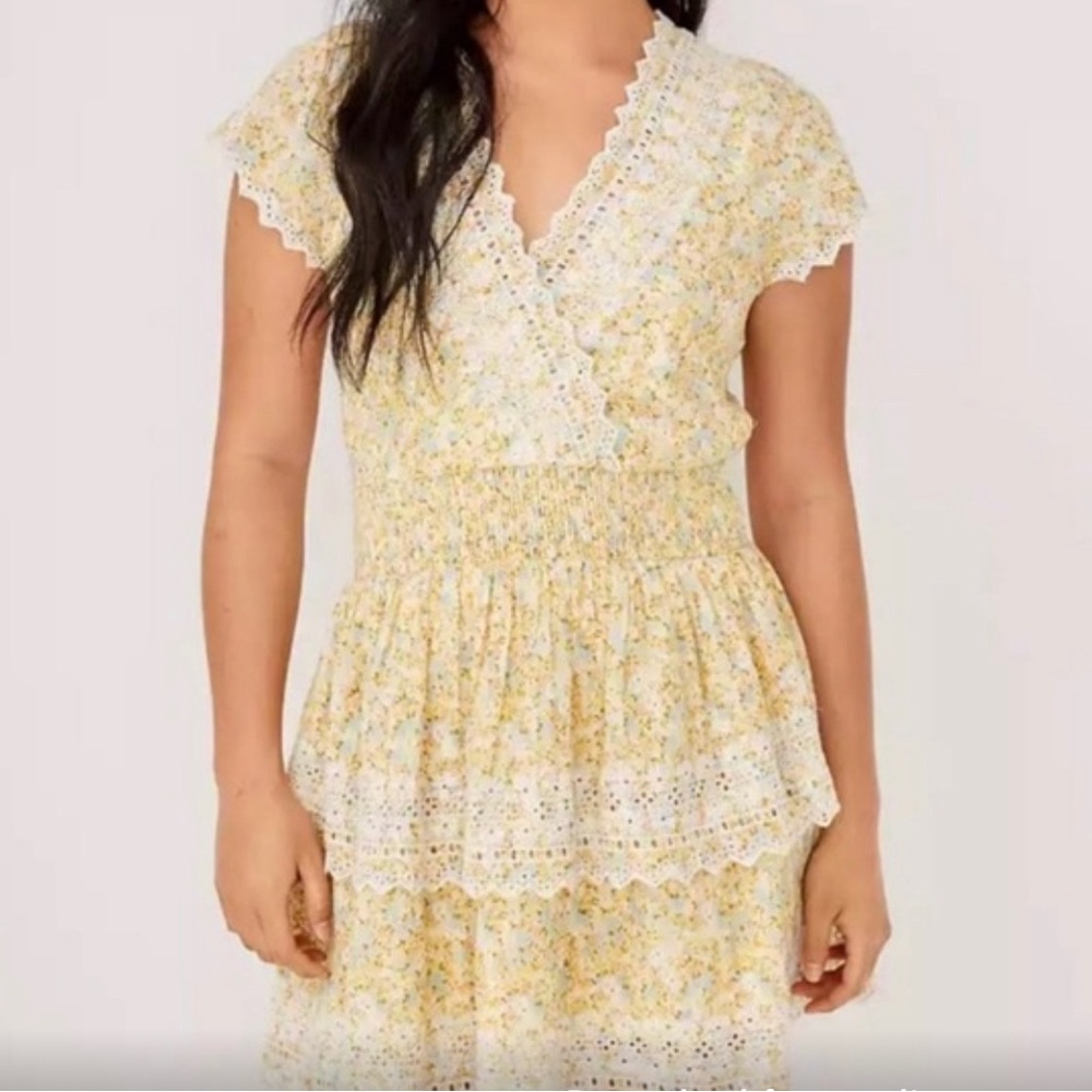 American Eagle Floral Garden Party Dress